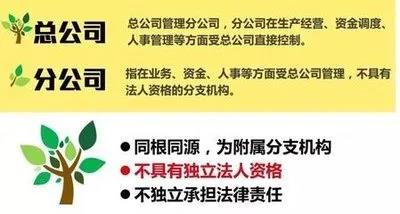 注冊子公司好還是分公司好，子公司和分公司有什么區(qū)別？